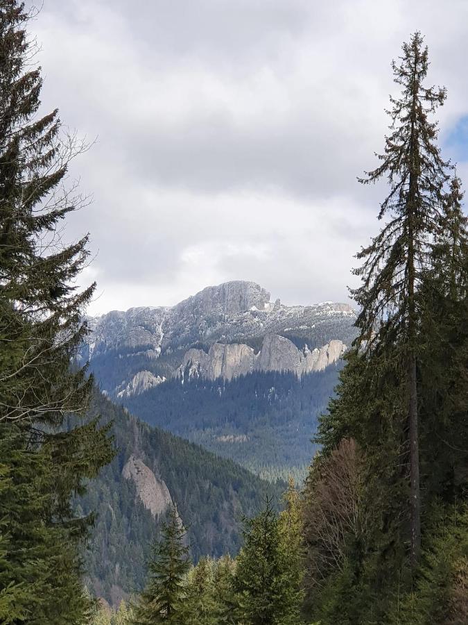 Apart Hotel Center Piatra Neamţ Eksteriør bilde